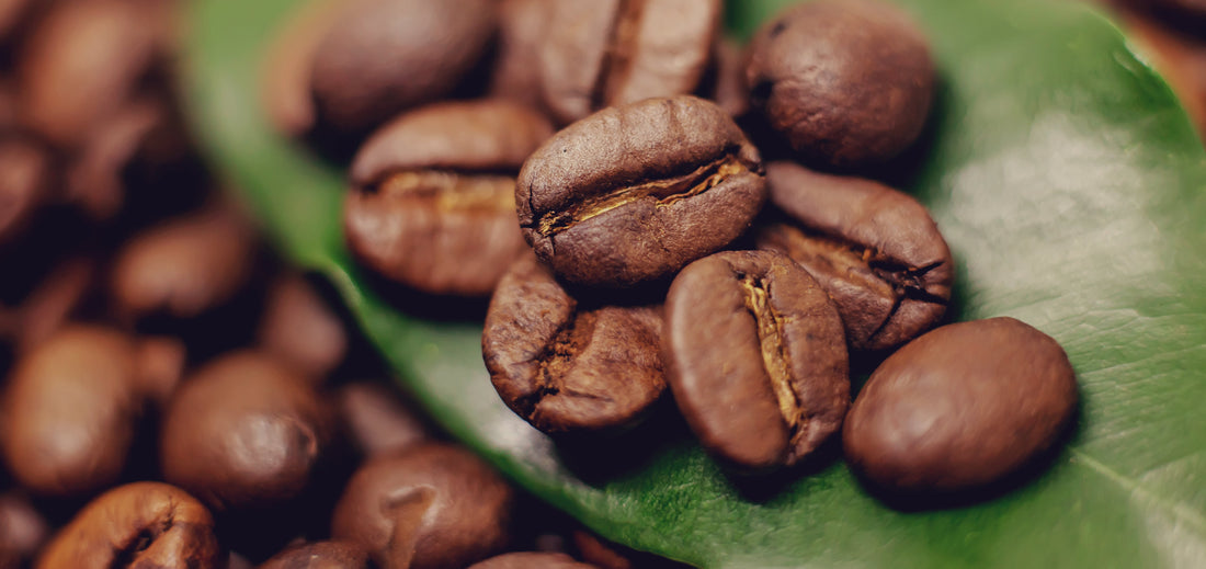 How to Choose Coffee: A Guide to Varieties, Roasts, and Flavor Profiles